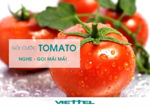 Sim nghe gọi mãi mãi Tomato Viettel